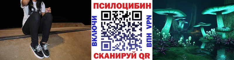 Галлюциногенные грибы Psilocybine cubensis Ейск