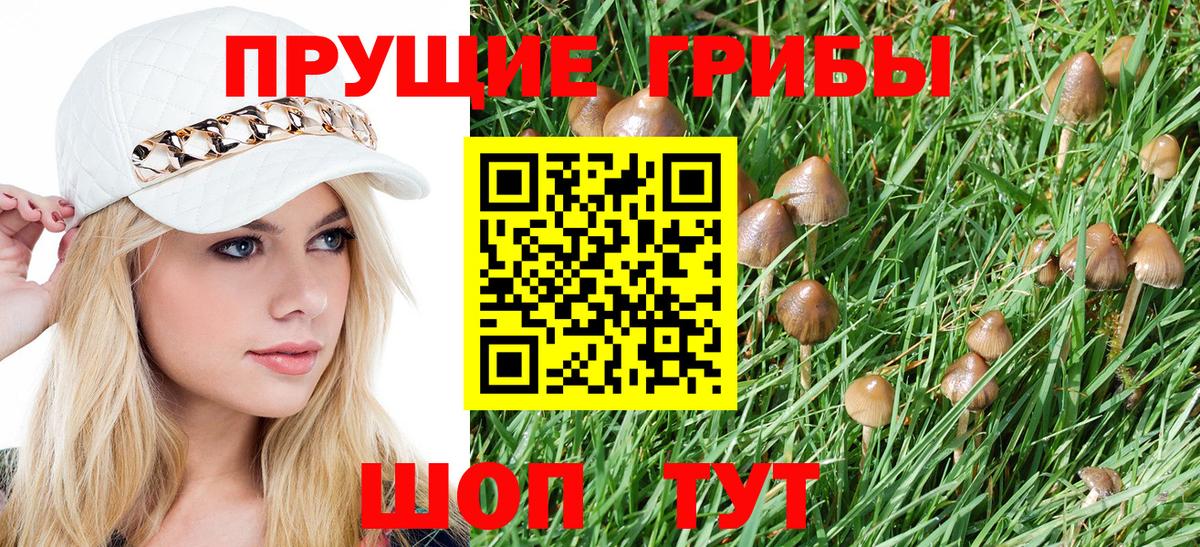 Галлюциногенные грибы MAGIC MUSHROOMS  Вход с VPN  Ейск 
