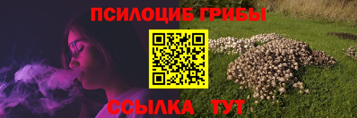 Псилоцибиновые грибы Psilocybine cubensis Ейск