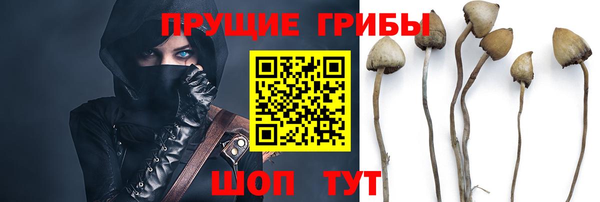 Галлюциногенные грибы MAGIC MUSHROOMS  Ейск 